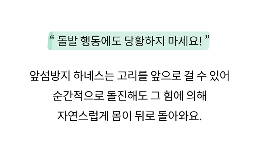 닥터설 앞섬방지 하네스 세트-상품이미지-5