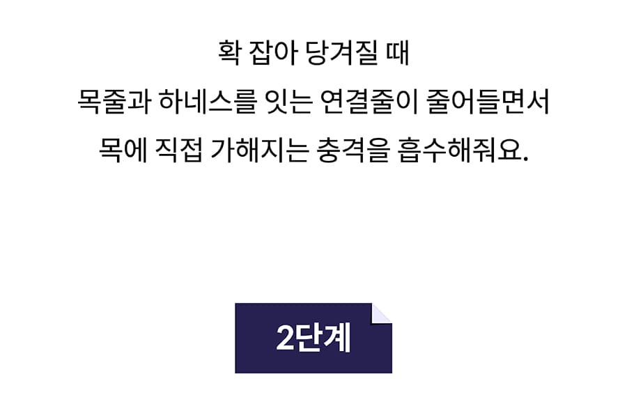 닥터설 앞섬방지 하네스 세트-상품이미지-15