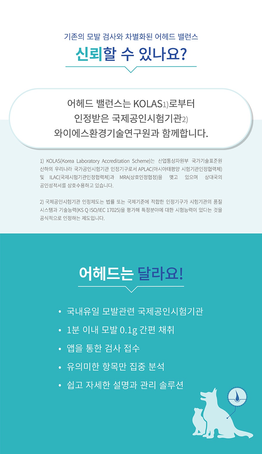 핏펫 어헤드 밸런스 - 모발검사키트-상품이미지-12