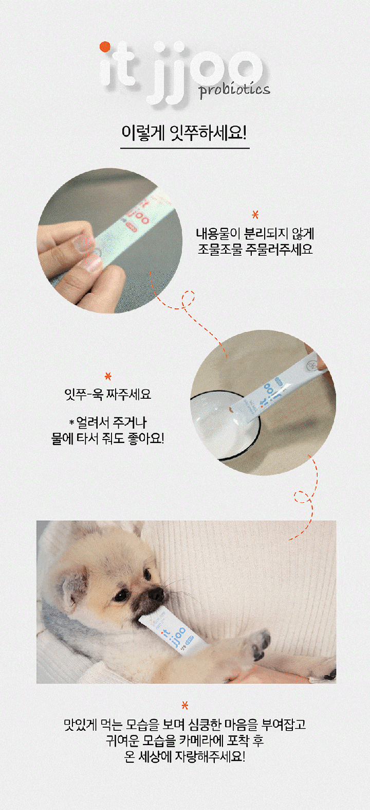 it 잇쭈 프로 도그 면역 대용량 (8개입*4개)-상품이미지-7